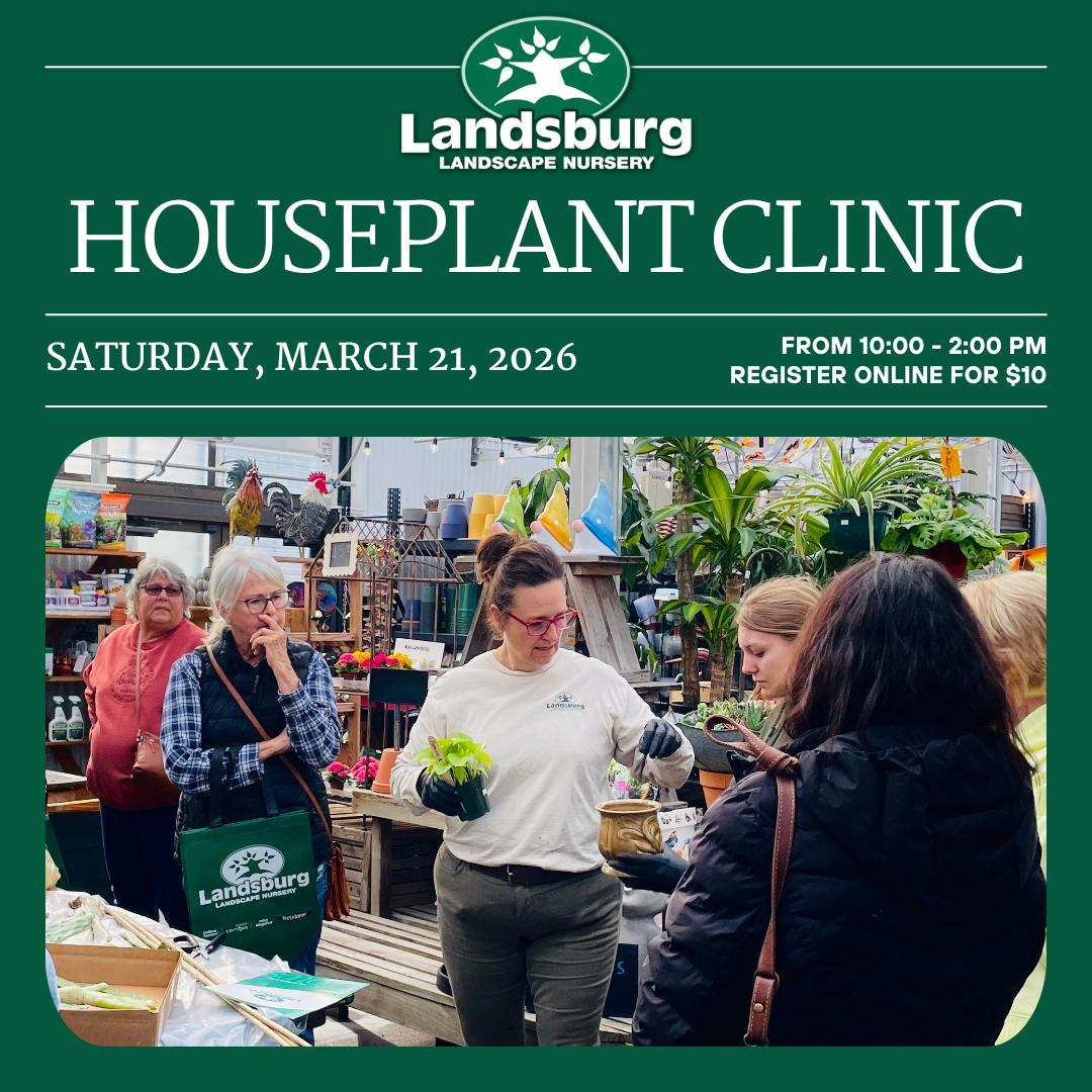 Houseplant Clinic - Saturday, March 21st