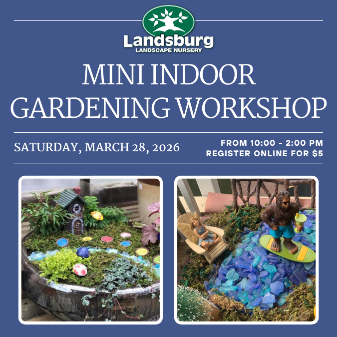 Mini Indoor Gardening Workshop - Saturday, March 28th