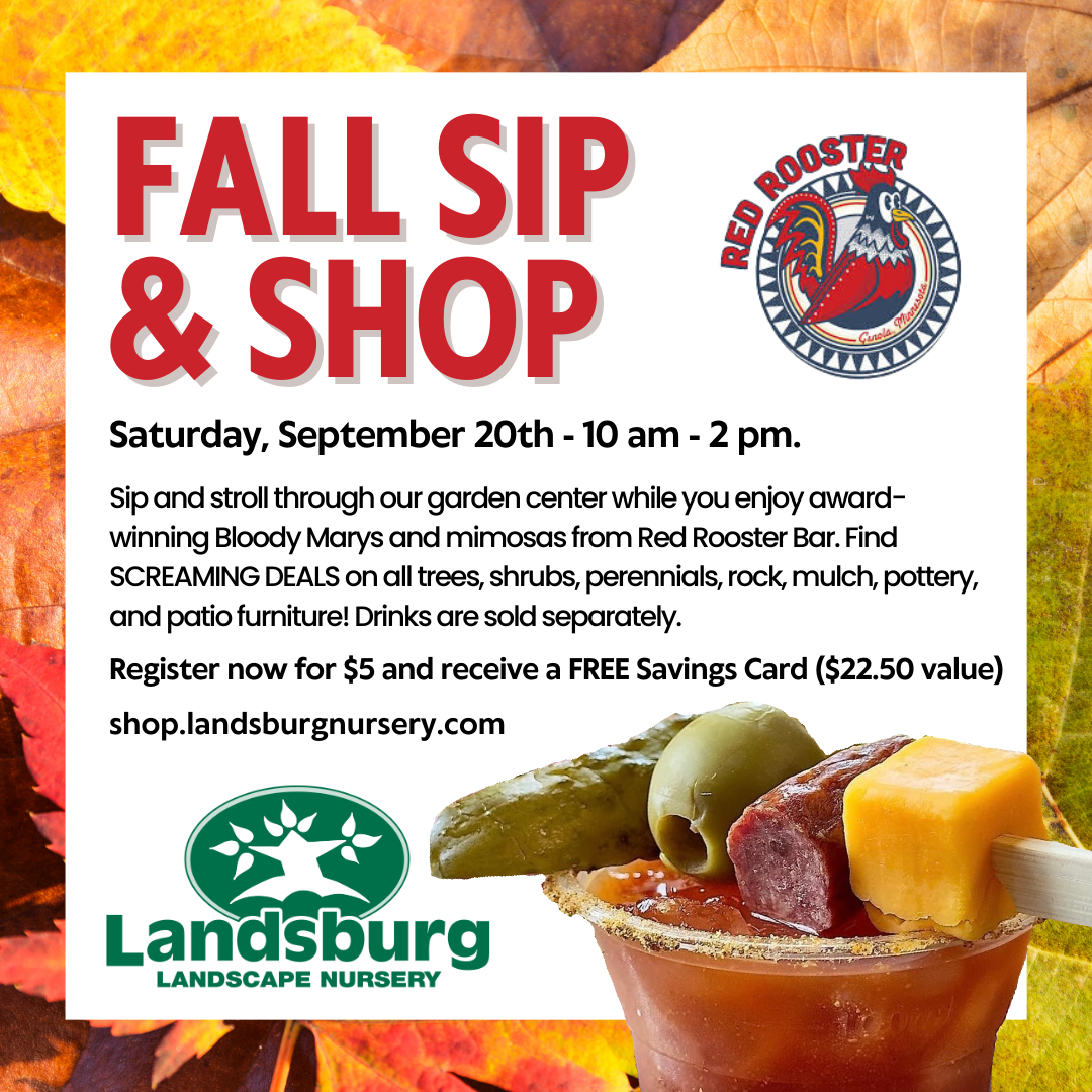 Fall Sip & Shop Event - Saturday, September 20th