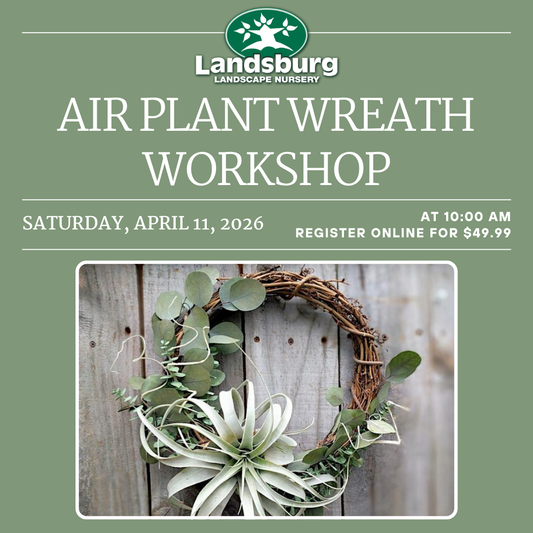 Air Plant Wreath Workshop - Saturday, April 11th