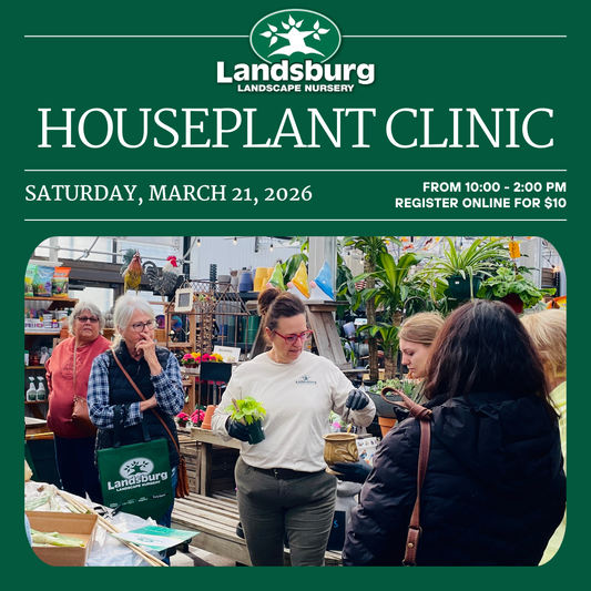 Houseplant Clinic - Saturday, March 21st