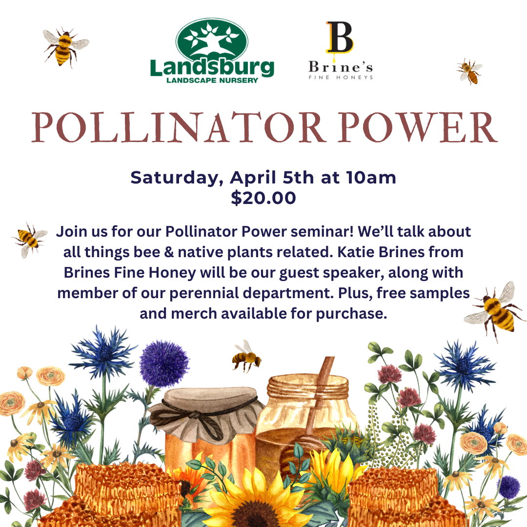 Pollinator Power Event - Saturday, April 5th