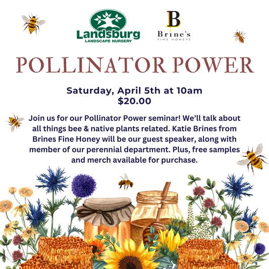 Pollinator Power Event - Saturday, April 5th