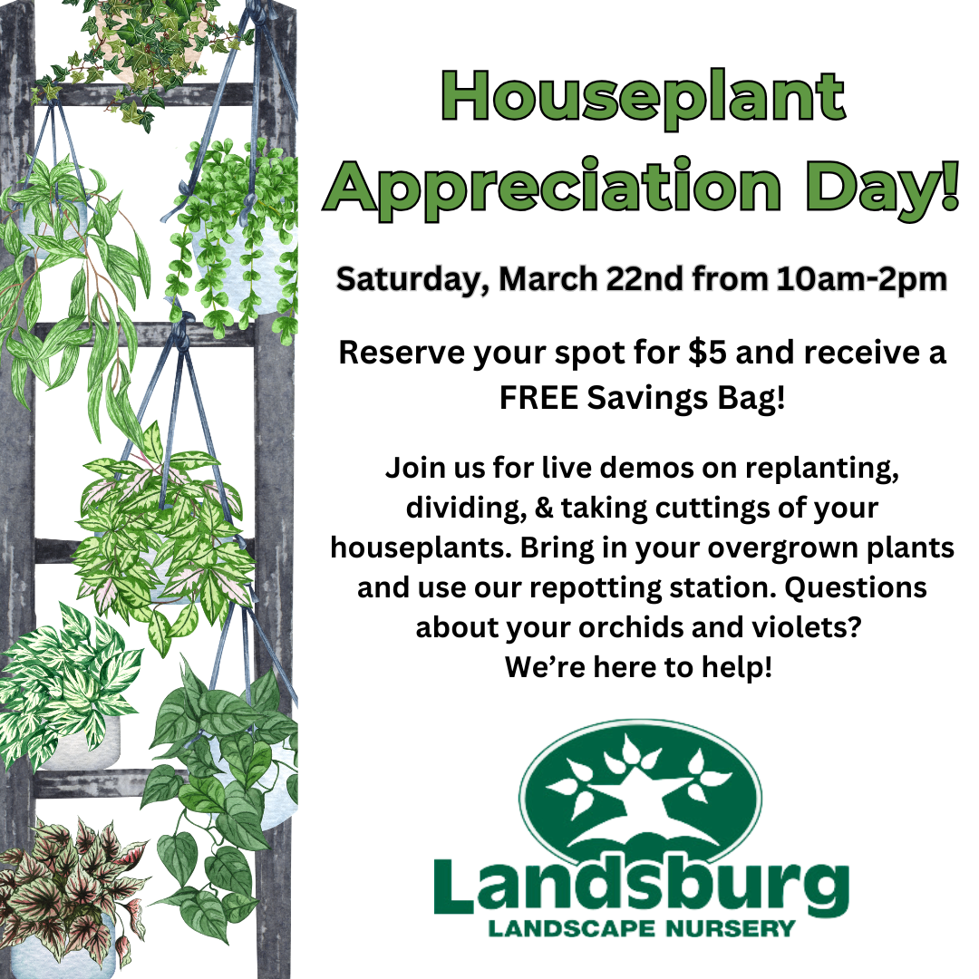 Houseplant Appreciation Day Event - Saturday, March 22nd